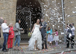 Hochzeitsfoto - Hochzeitsfoto -